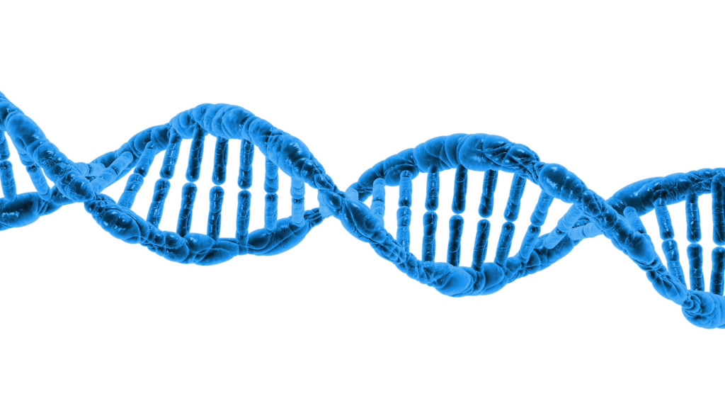 DNA, Image Source: http://www.publicdomainpictures.net/view-image.php?image=42718&picture=dna